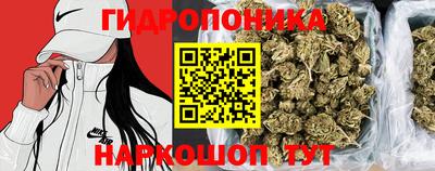 дживик Канаш