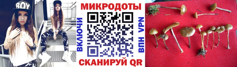 Псилоцибиновые грибы Psilocybine cubensis  Тверь 