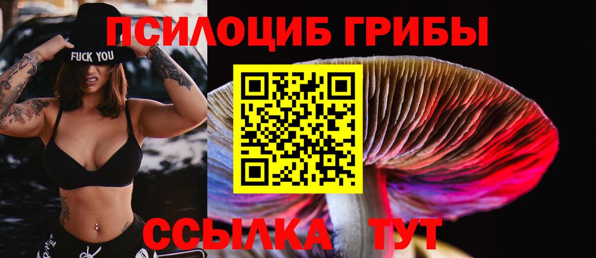 Псилоцибиновые грибы прущие грибы  Вход с VPN  Галлюциногенные грибы Cubensis  Тверь 