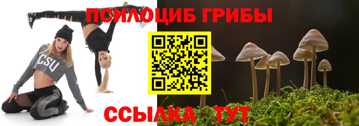 Галлюциногенные грибы Psilocybine cubensis Тверь